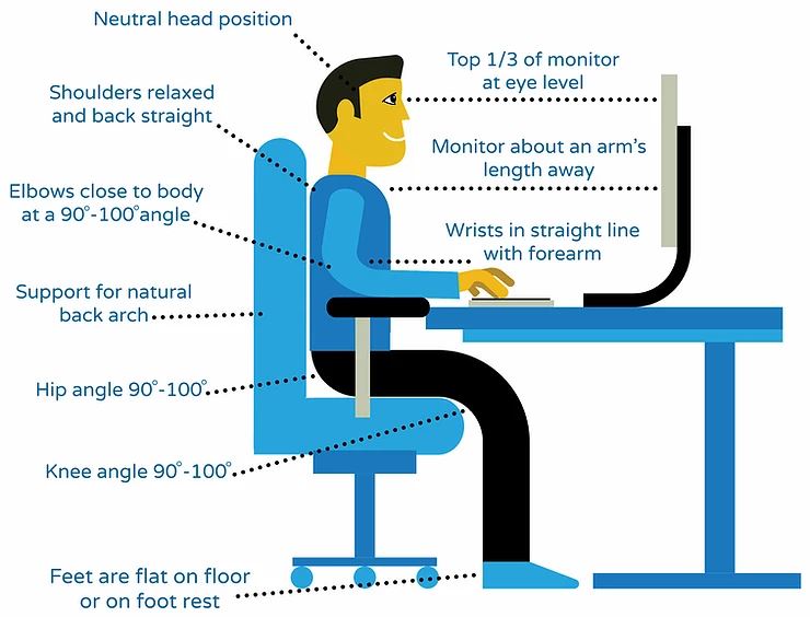 What is the Correct Ergonomic Sitting Posture in the Office?